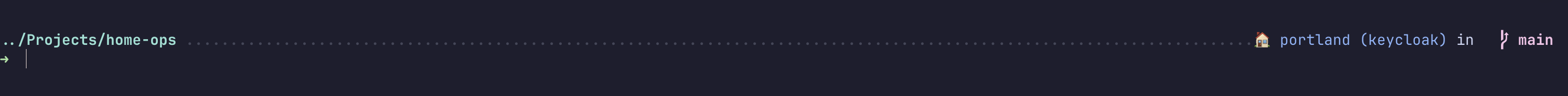Starship prompt showing the current directory on the left, and a house emoji with the portland Kubernetes context, namespace and Git branch on the right